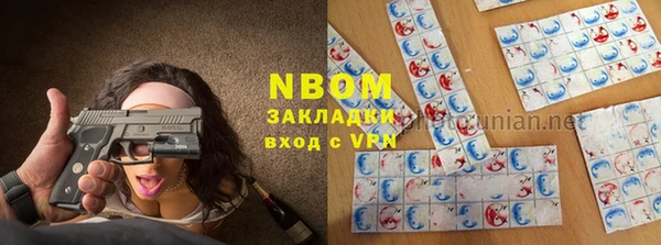 шишки Дмитриев
