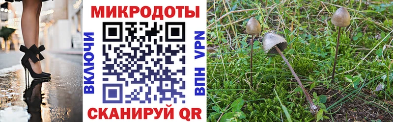 Псилоцибиновые грибы мухоморы  купить наркоту  Остров 